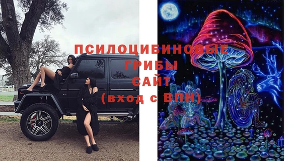 СК Богородицк