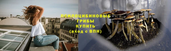 ECSTASY Баксан